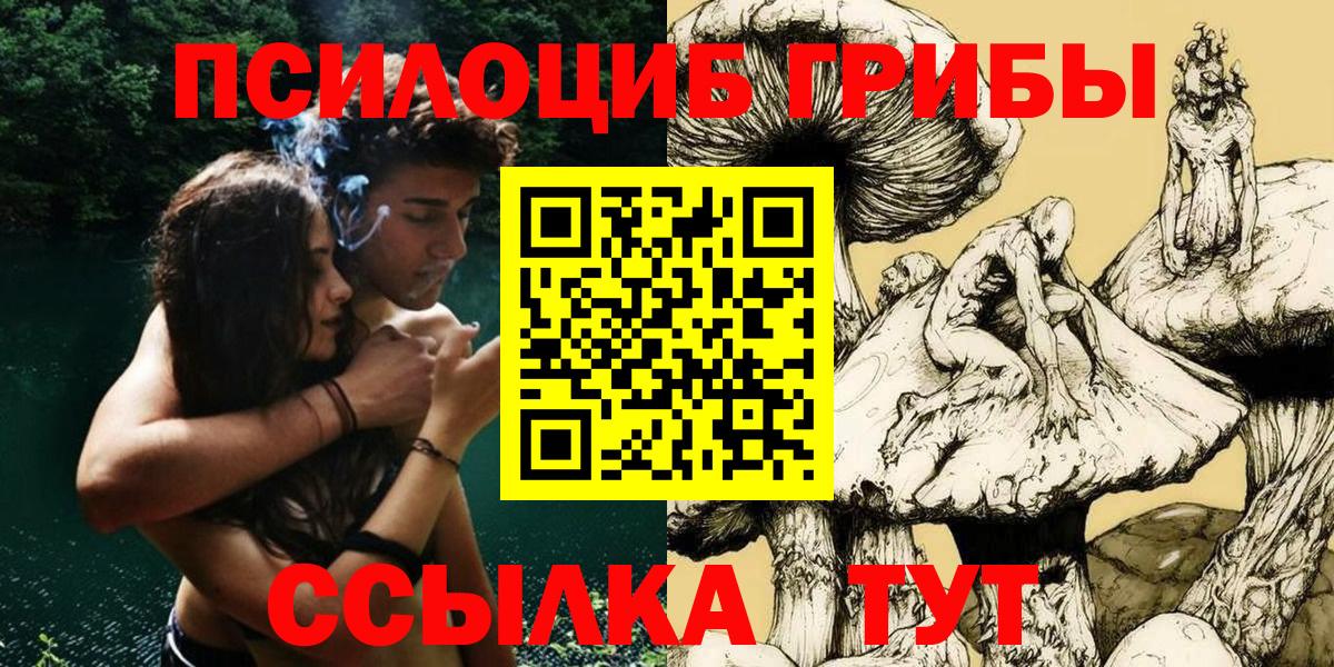 Галлюциногенные грибы прущие грибы  Псилоцибиновые грибы Psilocybe  Вход с VPN  Балашиха 